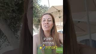 גלי טויזר עץ התובנות - הארגיה זורמת לאן שממקדים את תשומת ה⁦️⁩