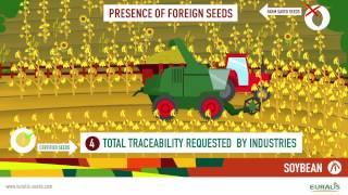 Advantages of soybean certified seeds - Euralis Semences