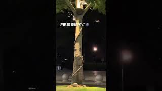 起猛了，看见树长脸了！哈哈哈哈哈【DocuLife-宝藏纪实馆】