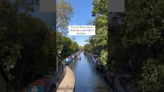 Canal walk in London (details in description) #london #londonwalk #londonwalks #londonlife #uk