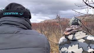 Fall 2022 Alaskan Bull Moose Hunt 9/30 closing day