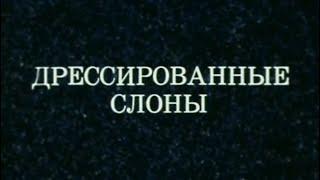"Дрессированные слоны" / Дрессировщик Сарват Бегбуди (1979) HQ