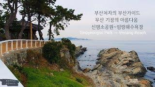 Driving in Busan/Korea/부산 기장군 해안도로 따라서 신평소공원-임랑해수욕장까지