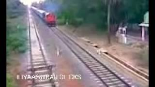 TEA GARDEN EXPRESS | PULL BY ERODE | RED BULL DLW ALCO