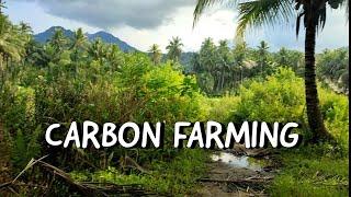 Let's Start Carbon Farming And Earn Money Without Hurting Our Ecosystem  | Organic Farming