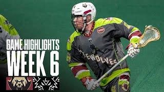 Game Highlights | Albany FireWolves vs Las Vegas Desert Dogs 1-4-25 | NLL Week 6