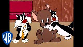 Looney Tunes | Lesson to Catch A 'Mice' | Classic Cartoon | WB Kids