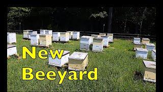 Finding and Building a New Bee Yard