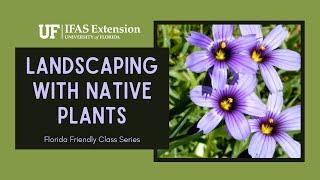 Florida Friendly Class Series: Landscaping with Native Plants