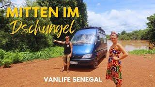 VAN LIFE Senegal | Niokolo-Koba National Park | #ontheroadsofafrica