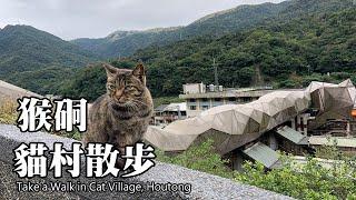 猴硐貓村散步 ~ 新北市瑞芳區 (Houtong Cat Village)