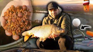 WYPAD NA KARPIE W LISTOPADZIE | Fox carp fishing