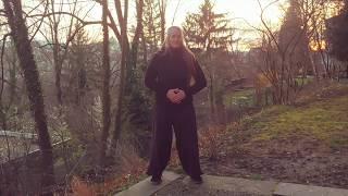 Q i g o n g  B o o s t e r  Chen Taiji Bern - Taiji | Qigong | Kungfu