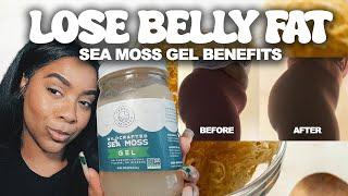 Lose Belly Fat Fast with Sea Moss Gel + Benefits