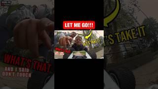 Bully’s try to intimidate RC Car!