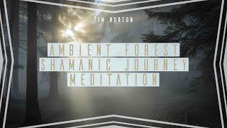 Shamanic Drum Journey: Ambient Forest