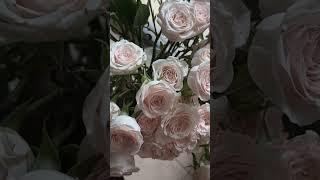 #цитаты #мотивация #жизнь #вдохновение #мысли