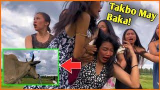 MINSAN NA NGA LANG UMAWRA HINABOL PA NG BAKA!EPIC FAIL MOMENTS•PINOY FUNNY VIDEOS•PINOY MEMES 2025