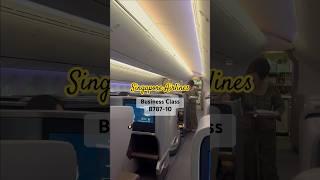 Singapore Airlines - Amazing experience on Business Class B787-10