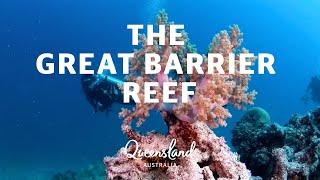 Everything you need to know about the Great Barrier Reef