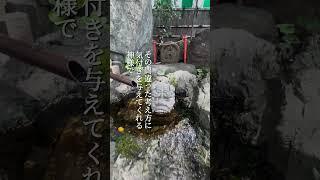 福の神と貧乏神#shorts #和の生き方 #潜在意識 #生き方