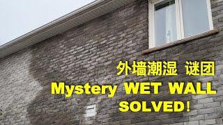 外墙潮湿，4年了，谜团解开，Damp Exterior Walls For 4 Years: Unraveling The Mystery!