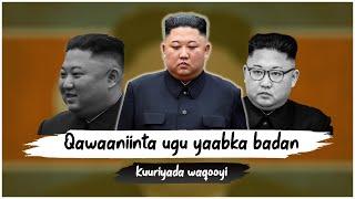 Kuuriyada waqooyi  | Qawaaniinta ugu yaabka badan ee ka jira dalkaas!