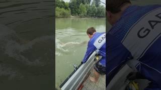 Walka z ogromnym sumem 