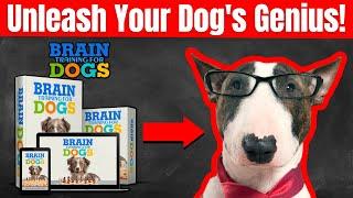 BRAIN TRAINING FOR DOGS REVIEW WATCH THIS Brain Training For Dogs Works? - Brain Training 4 Dogs