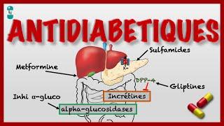 Drugs for Diabetes - Pharmacology