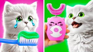 RICH vs. BROKE CATS  DIY Fidget Toys! Home Crafts You Never Knew You Needed by 123 GO!