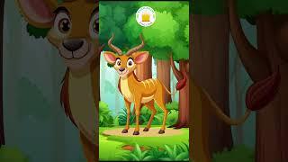 Wild Animals Names in English for Kids | Tamilarasi English