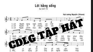 Lời Hằng Sống (Hạt Sương Nguyên) #cdlgtaphat