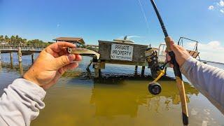 Snook, Redfish, Tarpon on NLBN Fishing around Florida Docks!!