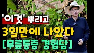 '이것' 뿌리고 3일 만에 나았다 무릎통증 경험담