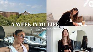 چند روز توی زندگی من/PMS/چیت چت/عکاسی و كلي روزاي مختلف🩷