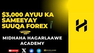 WARAYSI: WAXA UU SUUQA FOREX KA SAMEEYAY $3,000 HAL BIL| MIDHAHA HAGARLAAWE| BEST ACADEMY|