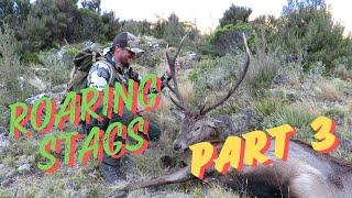 HUNTING ROARING STAGS - PRT 3 | HUGE RECOVERY AFTER 600M SHOT | CHAMOIS & HINDS | 7MM REM MAG ACTION