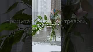 ИЗБАВЬСЯ ОТ ТРЕВОГИ И СТРЕССА . КОРОТКАЯ МЕДИТАЦИЯ