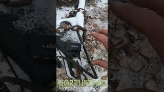 How to find your key fob