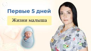 Первые 5 дней жизни малыша.Что ждет малыша и маму в роддоме. Комментарии врача-педиатра.