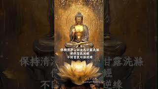 阿彌陀佛甘露 #ommanipadmehum #佛教音乐 #人生感悟 #正能量 #佛教 #佛法#修行 #南无阿弥陀佛 #阿彌陀佛 #六字大明咒  #傳統文化 #智慧 #佛號 #心靈 #amituofo