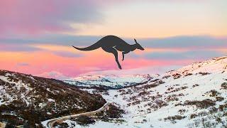 Australia Perisher 2024 - Kangaroo Season