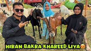 ALHAMDULILLAH qurbani k liye apny naseeb ka bakra khareed liya️
