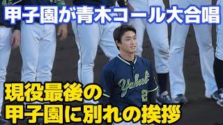 【阪神ファンからも青木コール大合唱】引退を表明した青木に満員の甲子園が一体となって大声量の青木コール！ 2024.9.16