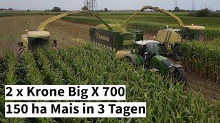 Maishäckseln mit 2 Krone Big X 700 | 150 ha Mais in 3 Tagen | Fendt 728 | John Deere 6R | Prinoth