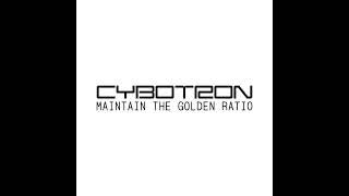 Cybotron - Maintain