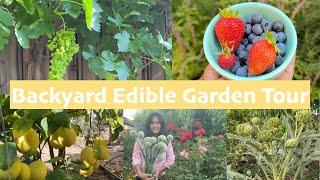 BACKYARD EDIBLE GARDEN TOUR