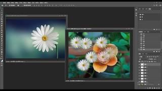 Photoshop CC2020 011 選取工具 02 選取區羽化