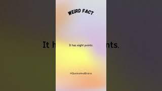 ️ Hashtag is Also “Octothorpe” #Facts #Hashtag #DidYouKnow #MindBlown #QuotesAndBrains #riddles